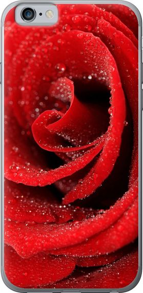 Чехол на iPhone 6 Красная роза "529u-45-17620"