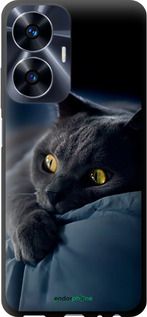 Чохол на Realme C55 Димчастий кіт "825b-2992-2448"