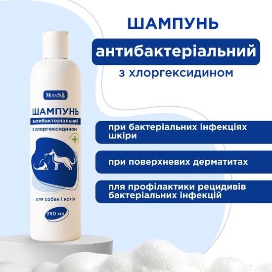 Шампунь антибактеріальний з хлоргексидином для собак та котів Modes, 250 мл | Зображення 1