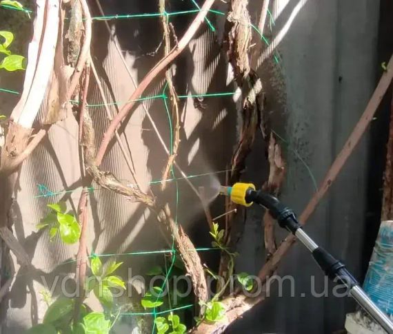 Портативний акумуляторний обприскувач для рослин / садовий обприскувач зі шлангом AND LY-1014 | Зображення 2