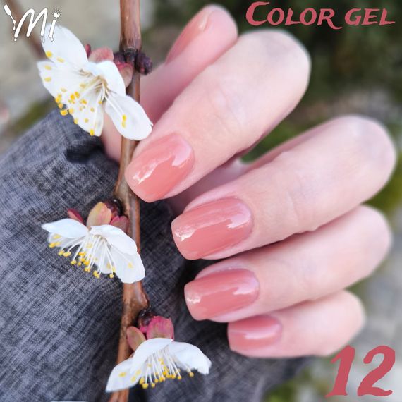 Гель для нарощення нігтів Mi Color Gel 12 (шоколадний) 30мл | Зображення 1