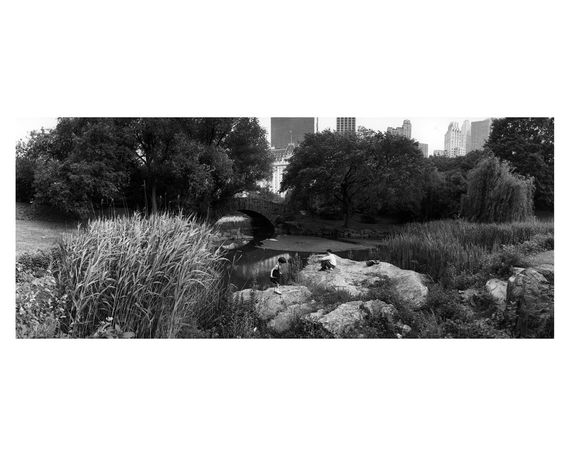 Книга альбом відомих фотографів з фотографіями Брюса Девідсона Bruce Davidson "Central Park" Б/У | Зображення 2