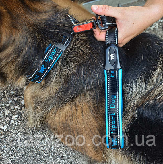 Нашийник для собак Ferplast Sport Dog С25/55 нейлоновий блакитний 2.5-45-55 см 78004125 | Зображення 1