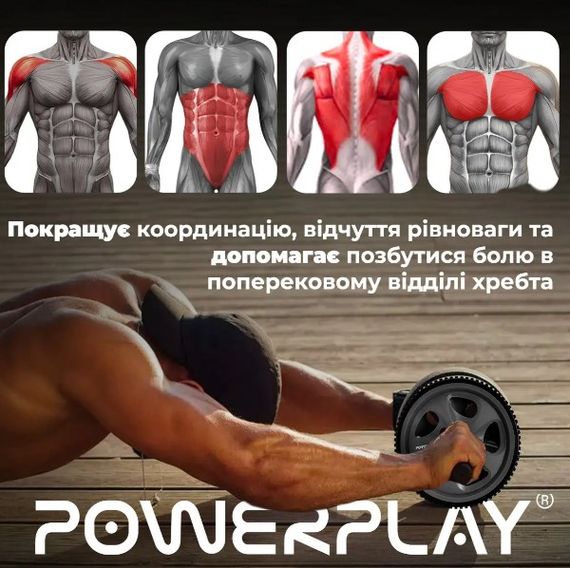 Колесо для преса PowerPlay PP-4345 Exercise Wheel (d16.5cm) Сіре (PP_4345) | Зображення 1