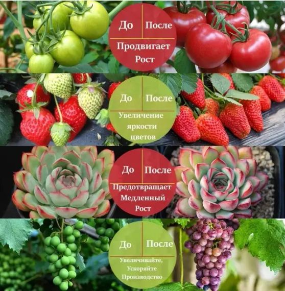 Фітолента для зростання саджанців від USB живлення фітолампа спектр LED 2 м | Зображення 4