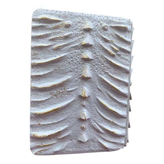 Подарунковий 3D блокнот «Око Крижаного Хранителя» | Зображення 2