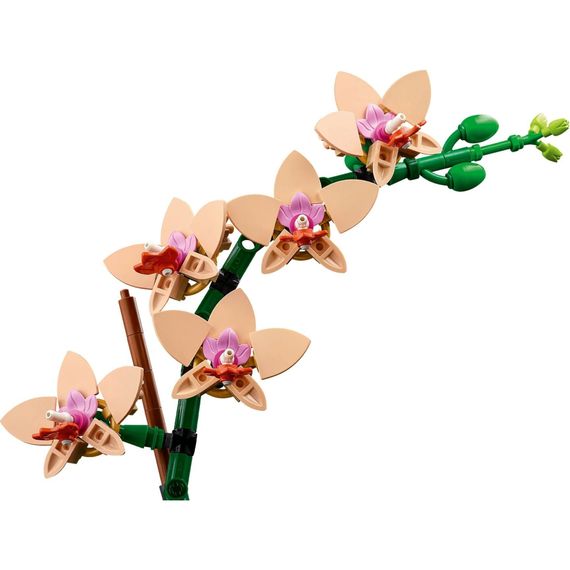 Конструктор LEGO Botanicals Міні орхідея (10343) | Зображення 3
