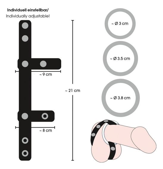 Фиксатор для пениса и яичек с декоративными заклепками и тремя сменными металлическими кольцами sexstyle | Зображення 6
