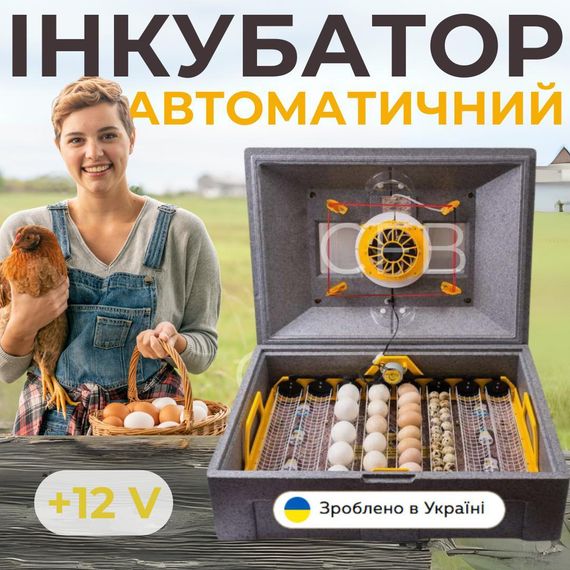 Автоматичний інкубатор для курячих яєць Теплуша ПРО-72 12-50 ТАВ ТЕНовий з живленням 2в1 12В та 220В