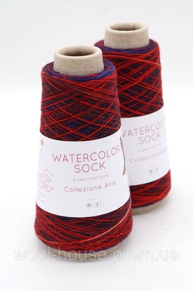 Шкарпеткова пряжа Laines du Nord Watercolor Sock, 105 | Зображення 1