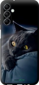 Чохол на Samsung Galaxy M14 M146B Димчастий кіт "825b-3038-2448"