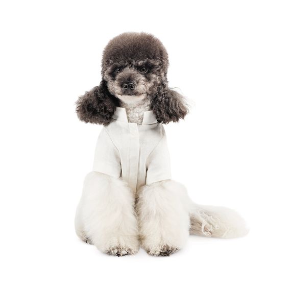 Вишиванка Ostap XS | Зображення 3