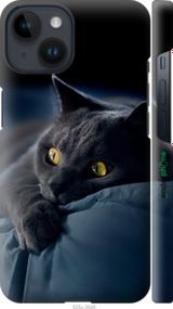 Чохол на iPhone 14 Димчастий кіт "825m-2648-2448"