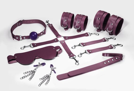 Набор Feral Feelings BDSM Kit 7, наручники, поножи, коннектор, маска, паддл, кляп, зажимы, Баклажановый