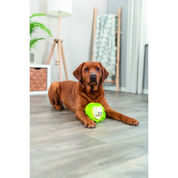 Іграшка Trixie для собак Капустяна свинка латекс 23 см світло-зелена | Зображення 5