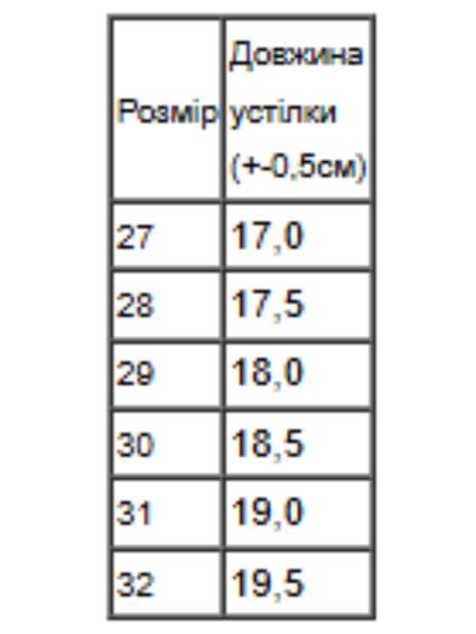 Демісезонні черевики для дівчинки на флісі однотонні Носи своє 31 Чорний (p-18292-217533) | Зображення 1