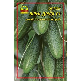 Насіння огірка Вірні друзі F1 3 г (ок. 120 шт.)