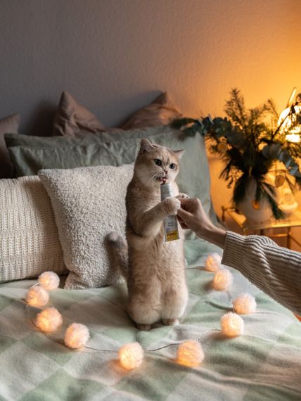 Паста з заспокійливою дією для котів GimCat Expert Line Relax, 50 гр | Зображення 3