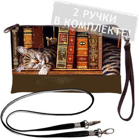 Клатч через плече Кот в книгах 25x15 см (KL_GL_TBR010)