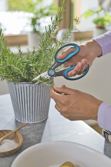 Ножиці для трави Gardena HerbCut 12214-36 (17.5/5.2 см) | Зображення 4