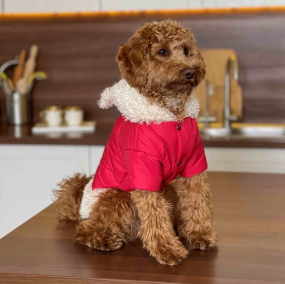 Куртка з хутром червона K-65 | Зображення 1