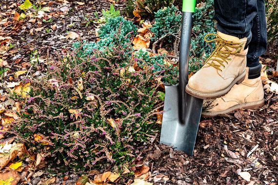 Лопата для саджанців Verto 128 см 15G014 | Зображення 3