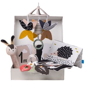 Чорно-Біла Гармонія: Подарунковий Baby-box для новонароджених