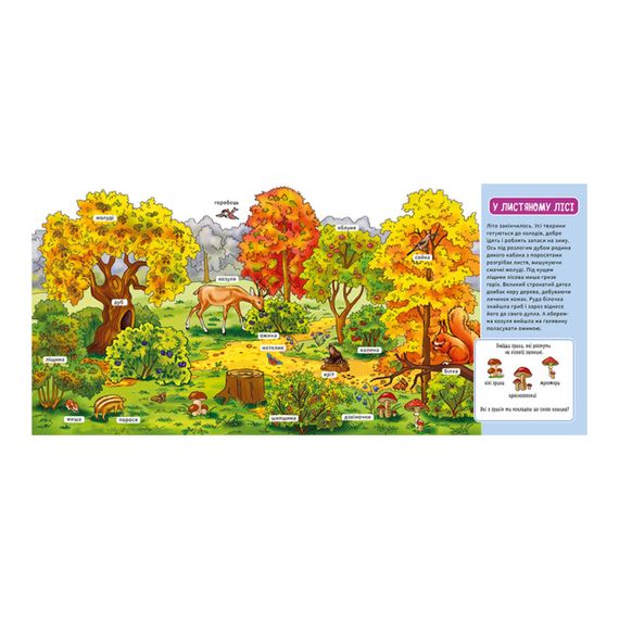 Мій перший словничок "У лісі" Ранок 116032 з віконцями | Зображення 1