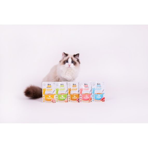 Корм вологий Brit Care Soup Chicken д/котів суп з куркою 75 г | Зображення 3