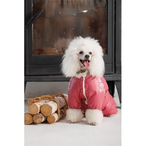 Комбінезон Pet Fashion Cherry S2 дівчинка для собак | Зображення 3