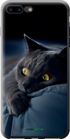 Чохол на iPhone 8 Plus Димчастий кіт "825t-1032-2448"