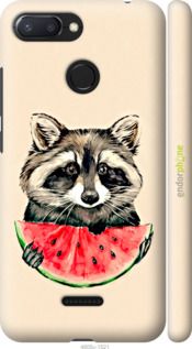 Чохол на Xiaomi Redmi 6 Єнотик з кавуном "4605m-1521-2448"