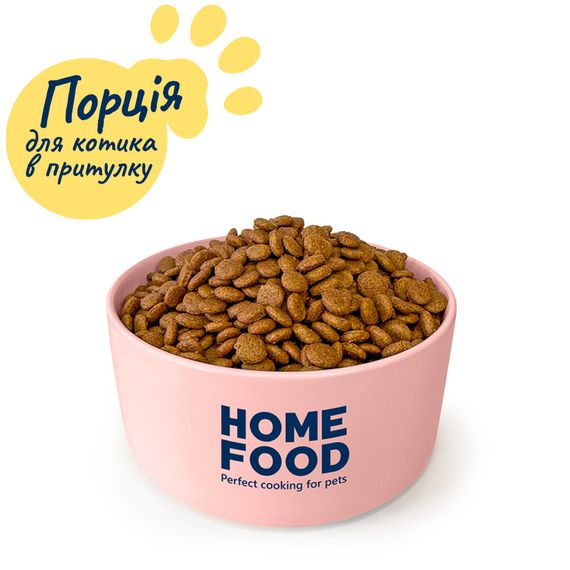 Порція корму для котика в притулку
