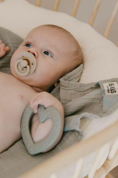 Іграшка гризунець BIBS Sage, вік 3+ міс | Зображення 1