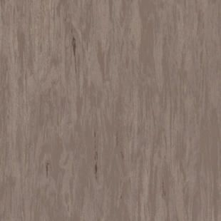 Лінолеум Tarkett Standard Plus Dark Beige 0482 (2m)