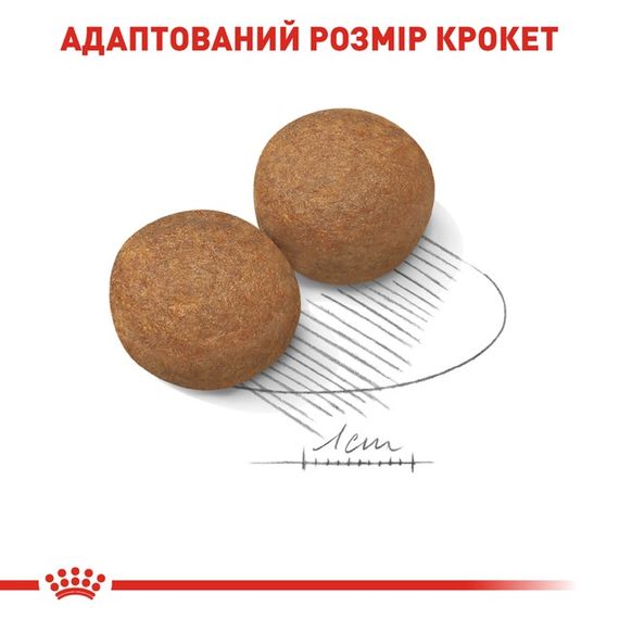 Корм Royal Canin Maxi Adult сухой для взрослых собак крупных пород 4 кг | Зображення 4