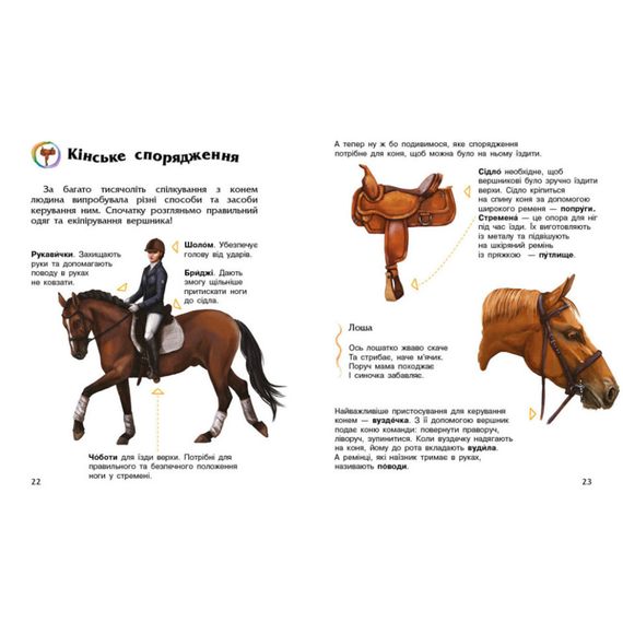 Енциклопедія дошкільника Коні 614037 для найменших | Зображення 1