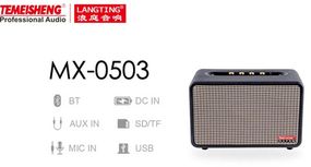 Темишенг MX-0503 Bluetooth колонка з мікрофонами для караоке 5″ 2 мікрофона (45719-_4148)
