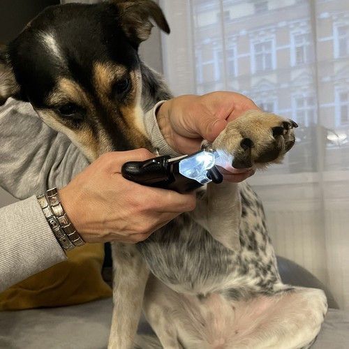 Кусачки для ногтей со светодиодом для собак и кошек – точность и безопасность в каждой стрижке! | Зображення 9