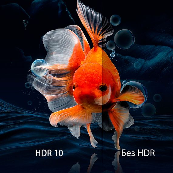 Сучасний проектор Full HD 1080p Linux OS XPRO PANOPLUS EBI з вбудованими динаміками (NFX-007_8199) | Зображення 6