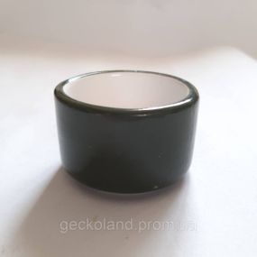 Поилка-кормушка 5см для небольших гекконов Trixie зеленая