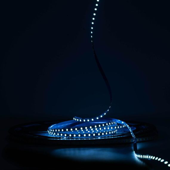 Світлодіодна LED стрічка PROLUM™ 24V IP20 2835\120 6ММ S-TYPE Series "S" Блакитний Лід | Зображення 1