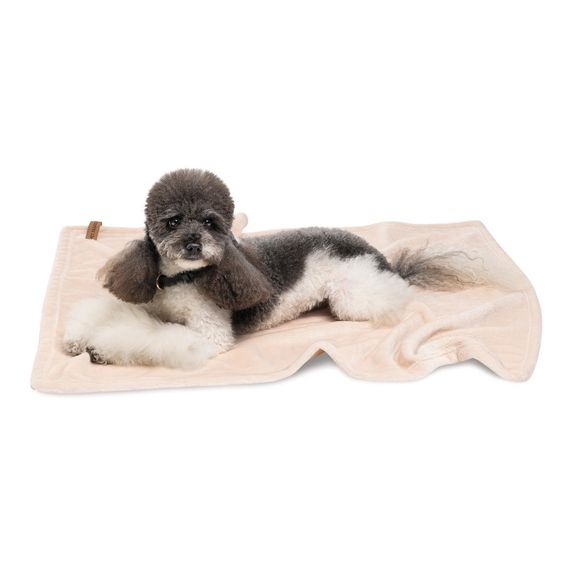 Плед Pet Fashion Bliss 1 для собак і котів плюш пудра 86х67,5 см | Зображення 4