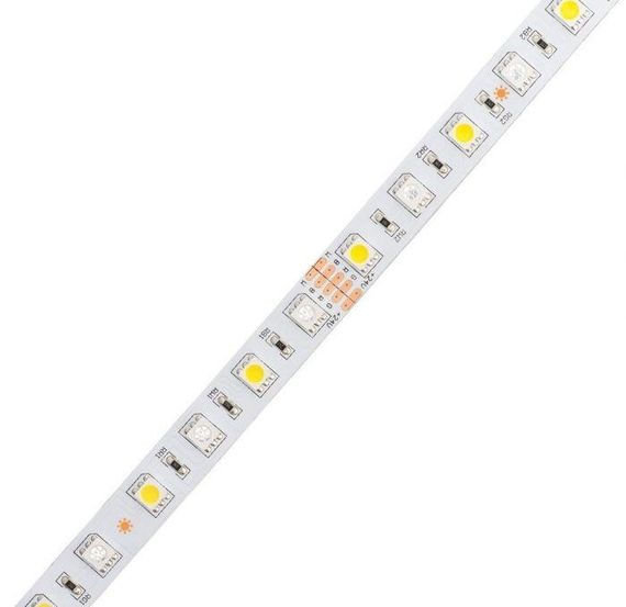 Світлодіодна LED стрічка PROLUM 12V 505060 IP20 Series SG RGB+W | Зображення 1