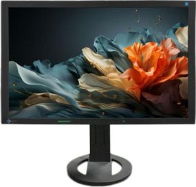 Б/В Монітор Eizo S2402W 24" FHD / 1920x1080 TN / VGA, DVI