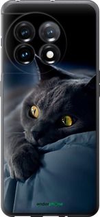 Чохол на OnePlus 11 Димчастий кіт "825u-2940-2448"
