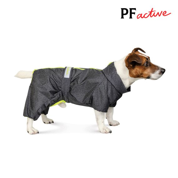Комбінезон Pet Fashion RAIN для собак породи такса сірий XS | Зображення 1