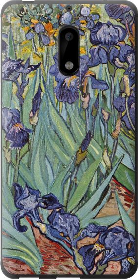 Чехол на Nokia 6 Винсент Ван Гог. Ирисы "161u-898-17620"