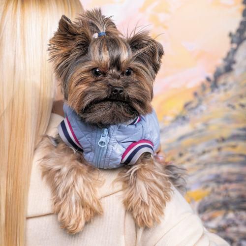 Бомбер Pet Fashion «Spike» для собак, размер L, голубой | Зображення 3