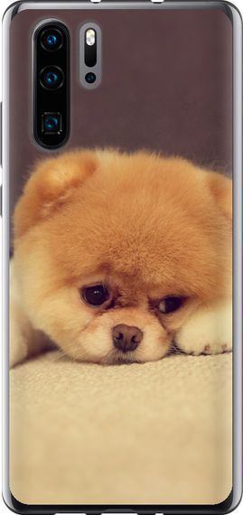 Чехол на Huawei P30 Pro Boo 2 "890u-1621-17620"